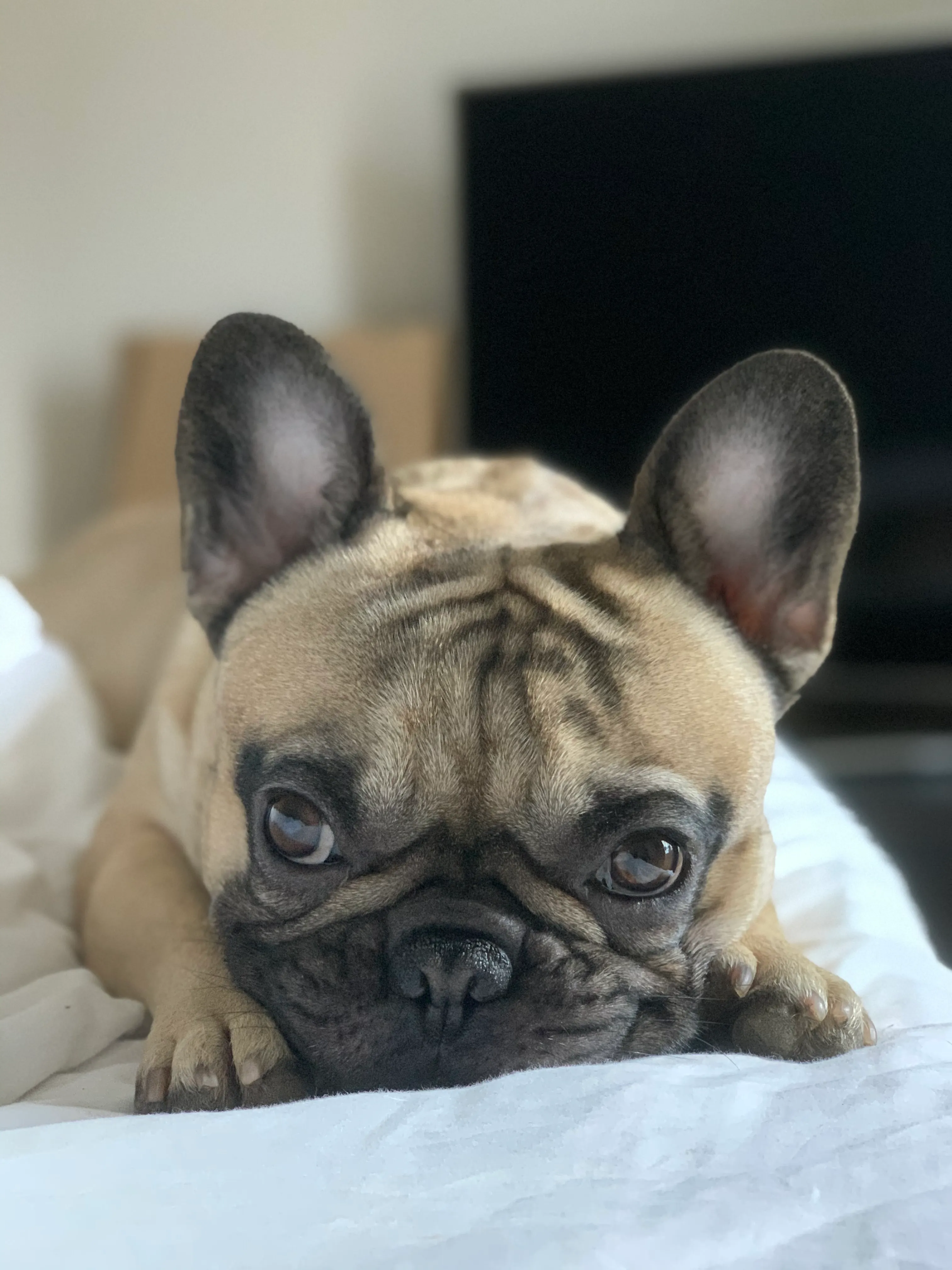 Our first son, Cosmo